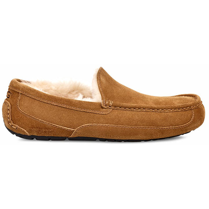 Men's Ascot Slipper