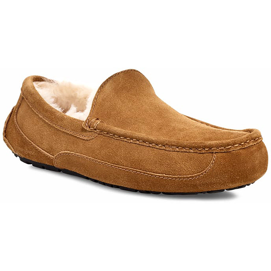 Men's Ascot Slipper