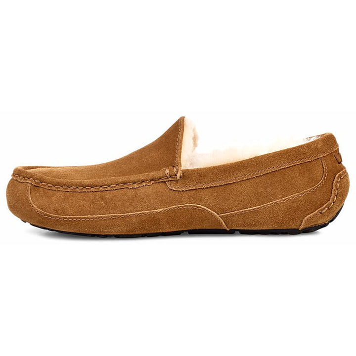 Men's Ascot Slipper