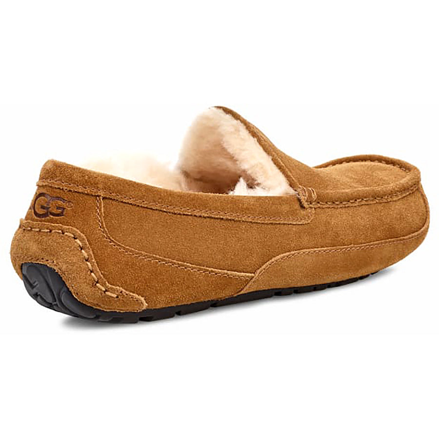 Men's Ascot Slipper