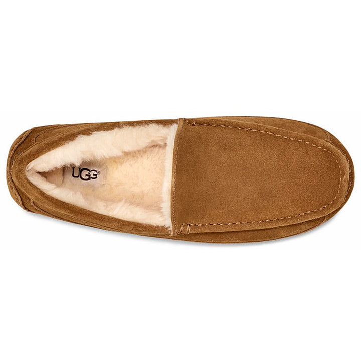 Men's Ascot Slipper