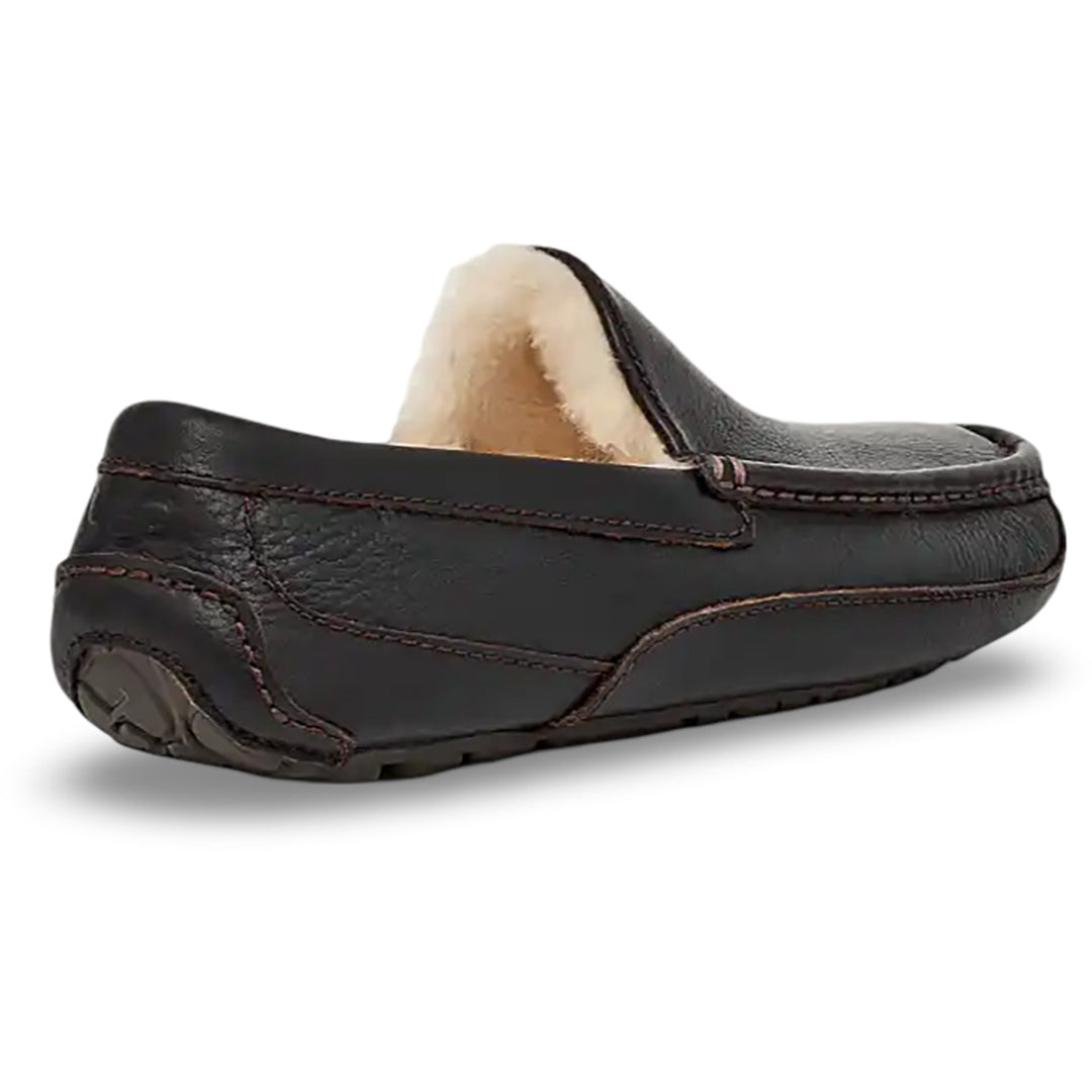 Men's Ascot Slipper