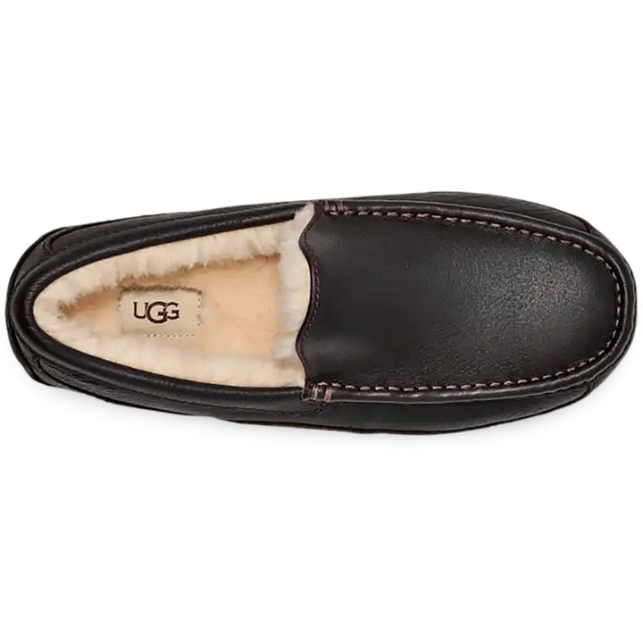 Men's Ascot Slipper